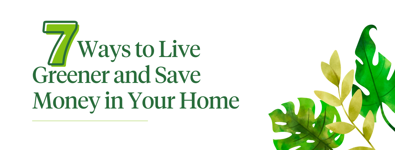Seven Ways to Live Greener and Save Money in Your Home